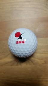 20170515_082726_resized