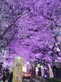 IMG_20220330_194526