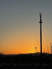 IMG_0831