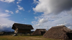 DSC_2910_1