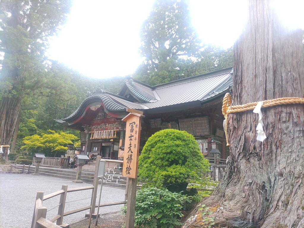 祈る : 起業して40年目 電脳株式会社会長日記