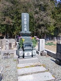 IMG_20220420_110841