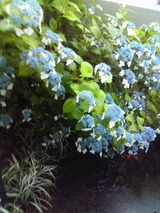 58f14d98.jpg