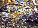 201101021129000