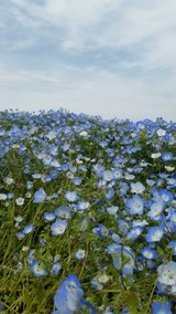 20170427_114013_resized