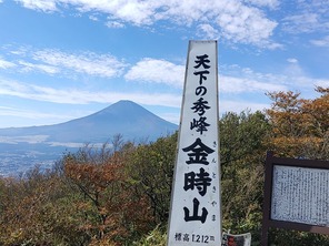 IMG_20221021_125706