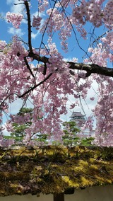 20170428_102030_resized