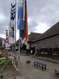 IMG_20220420_134256