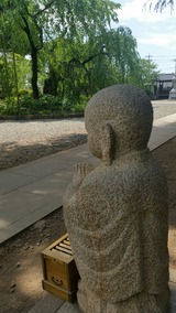 20170506_114237_resized