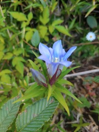 IMG_20221021_111801