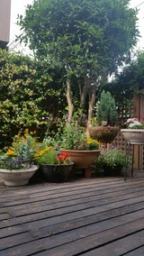 20170531_073054_resized