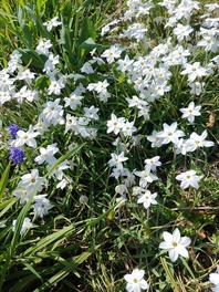 IMG_20220410_143035