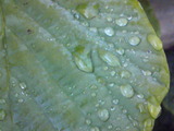 8a104622.jpg