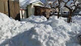 20141228_102120