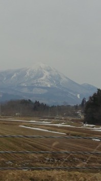 DSC_0005_BURST20190227122030169