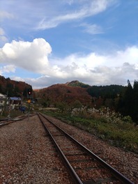 IMG_20221103_150616
