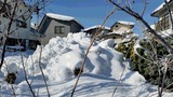 20141228_102150