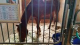 20150124_114232
