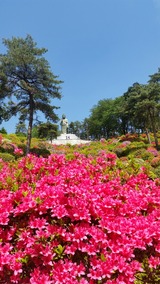 20170505_102142_resized