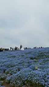 20170427_113521_1494199679131_resized