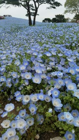 20170427_113026_1494200957037_resized