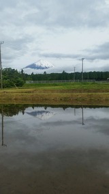 20170514_064435_resized