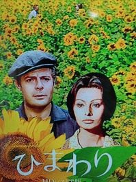 IMG_20220403_082903