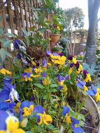 IMG_20220410_113621