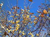 201101021129001