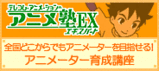 ¥¢¥Ë¥á½ÎEX