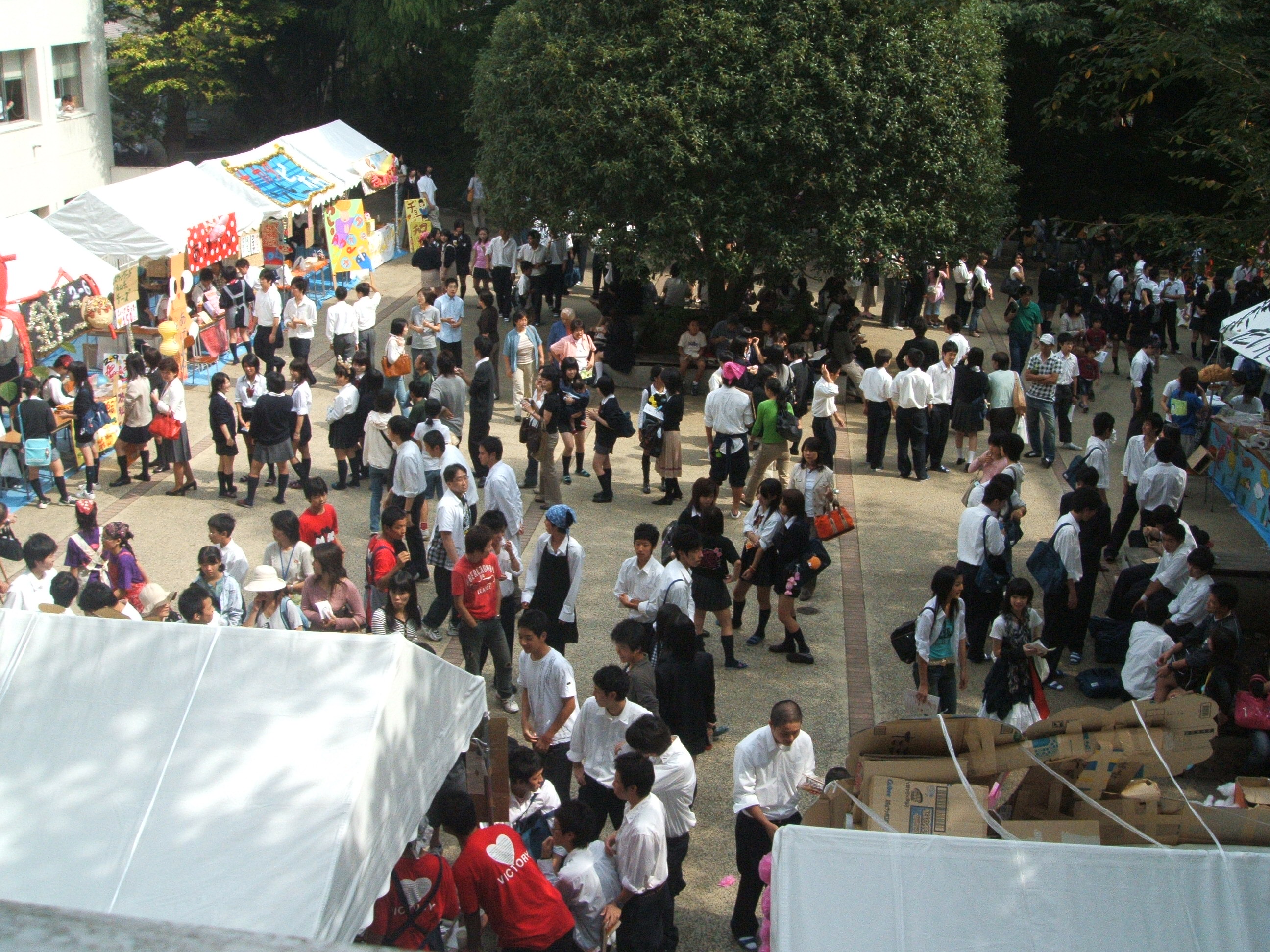 06年９月31日 桜花祭 10月３日 天領誉さんと 農大市場ブログ