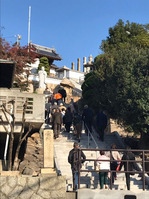 ʡ����񡡶�������Ѳ���