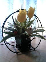 05-01-01_10-13.jpg