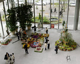 Hana Cube 2004