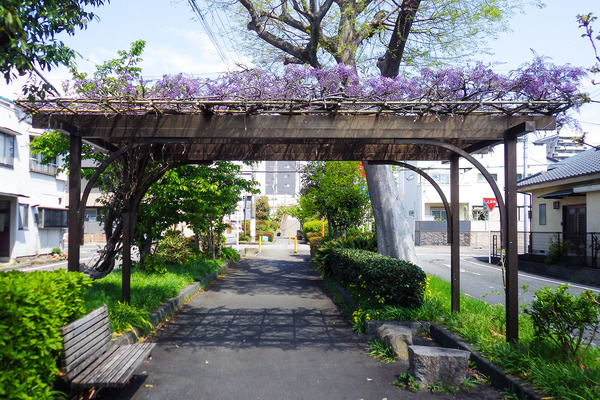 �ؾ���ƻ��ƣê 2025