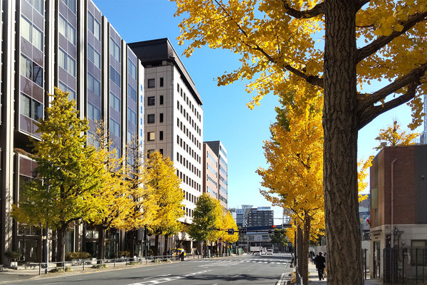 ���͸���ι���2023-2