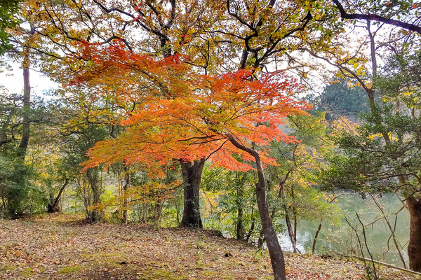 ���˸Фι���2023-1