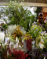 �ֺ�Ź��2006��