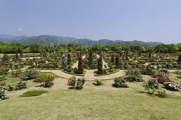 �Х��ƥ�2013