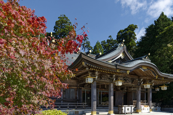 ���տ��Ҥι���2023-1