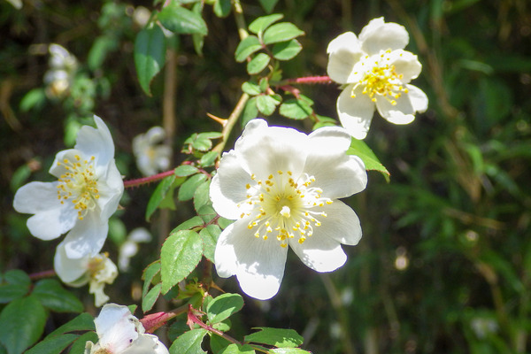 �Υ��Х�2019