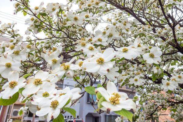 �ϥʥߥ��� 2025-2