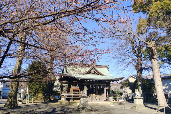 ȬȨ���� 202602-1