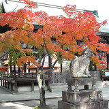 ���ܿ���