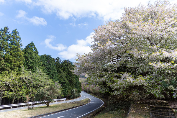 ����ƽ�Υ�ޥ�����2021