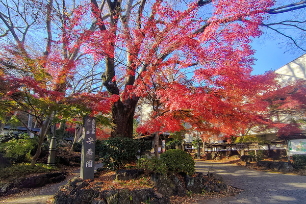 �ڼ���ι��� 2025