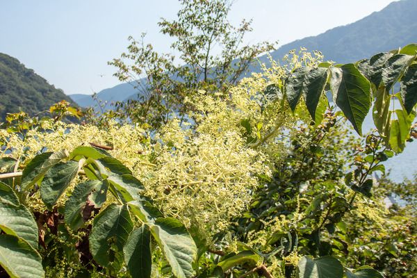 ����Υ��β� 2025-1