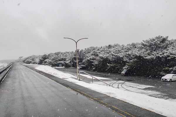 ������ܾ��� 2026-1