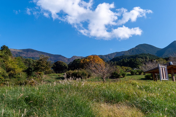 ���Ķ���Τ���� 202511