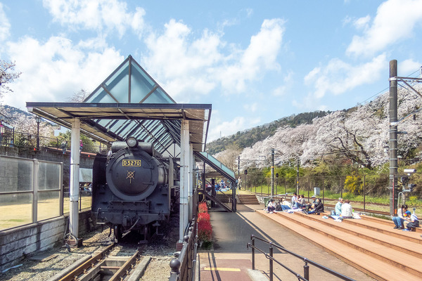 ���̱ؤΥ��ᥤ�襷�� 2025-3